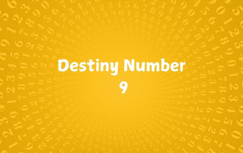 Destiny Number 9